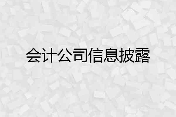 会计公司信息披露