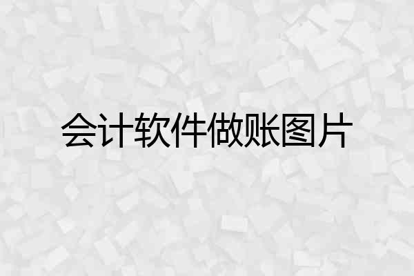 会计软件做账图片