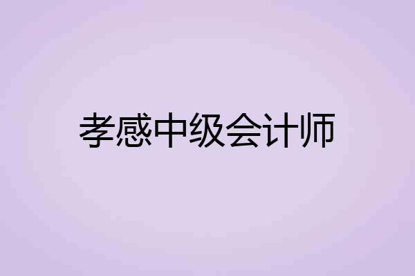 孝感中级会计师