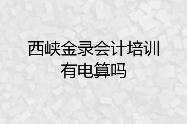 西峡金录会计培训有电算吗