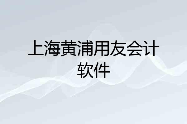 上海黄浦用友会计软件