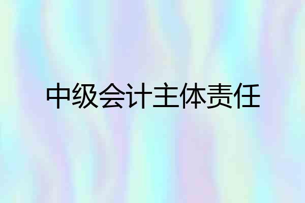 中级会计主体责任