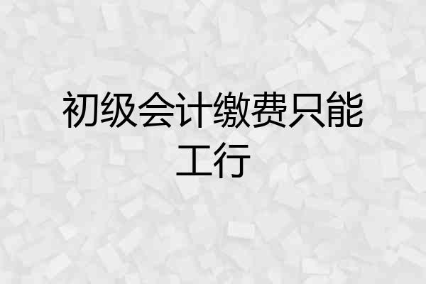 初级会计缴费只能工行