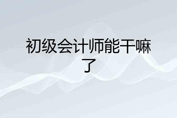 初级会计师能干嘛了