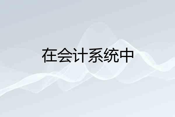 在会计系统中