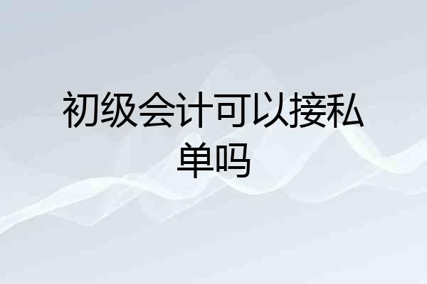 初级会计可以接私单吗