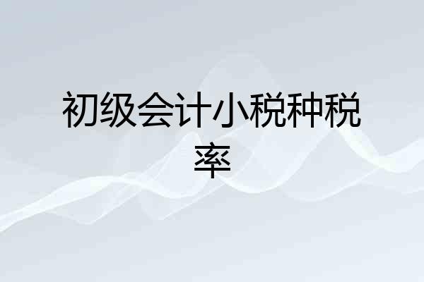 初级会计小税种税率