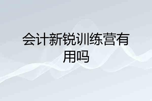 会计新锐训练营有用吗