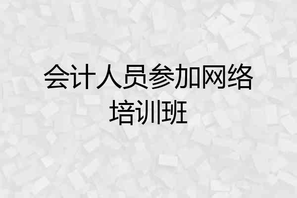 会计人员参加网络培训班
