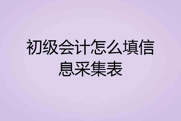 初级会计怎么填信息采集表