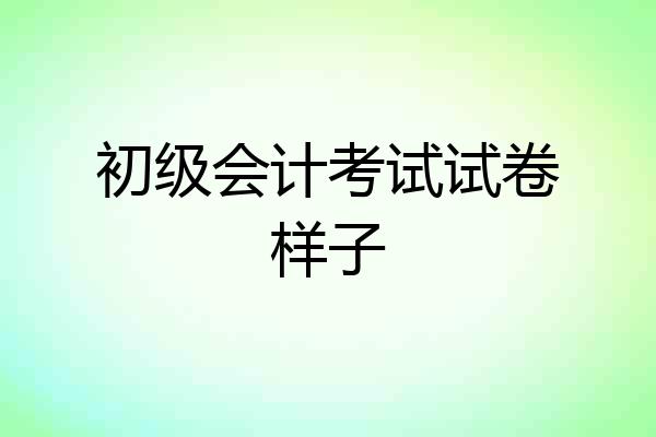 初级会计考试试卷样子
