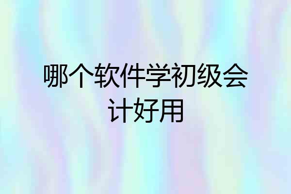 哪个软件学初级会计好用