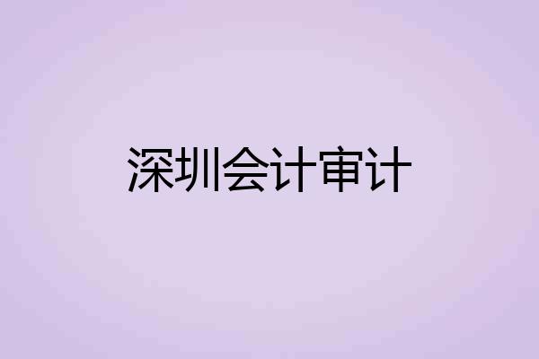 深圳会计审计