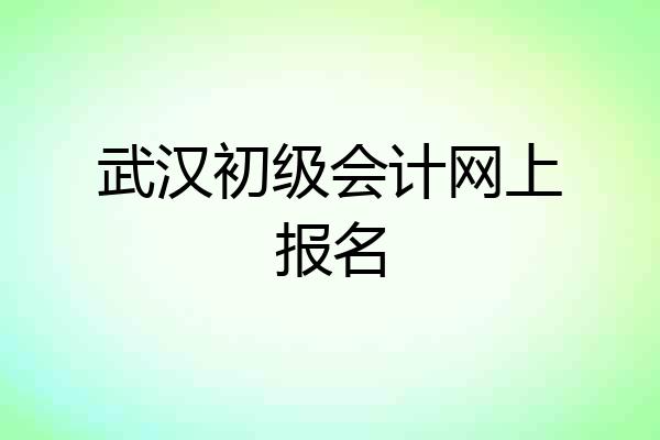 武汉初级会计网上报名