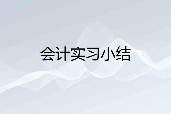 会计实习小结