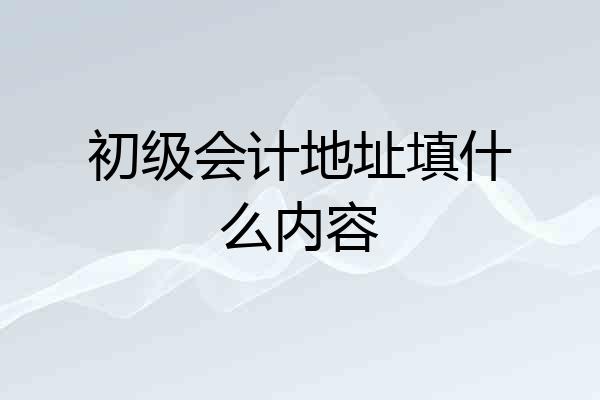 初级会计地址填什么内容