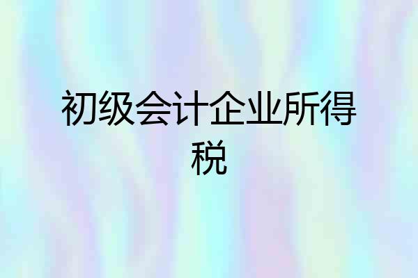 初级会计企业所得税