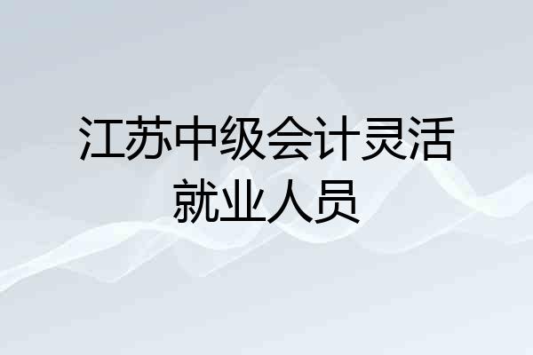 江苏中级会计灵活就业人员