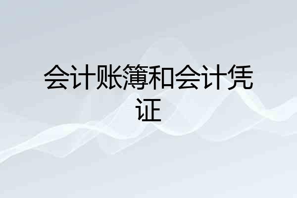 会计账簿和会计凭证
