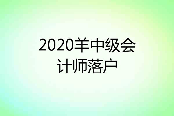 2020羊中级会计师落户