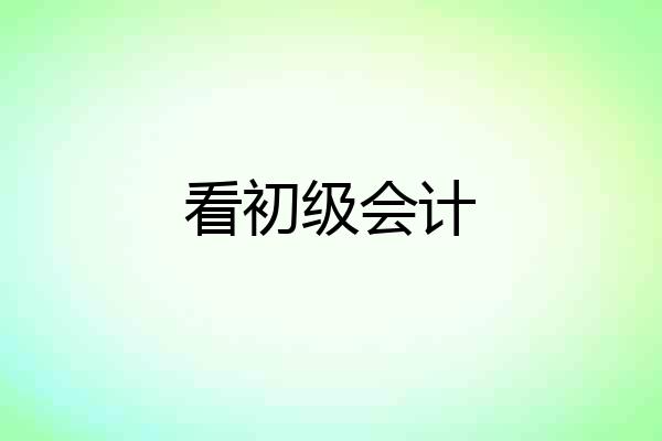 看初级会计