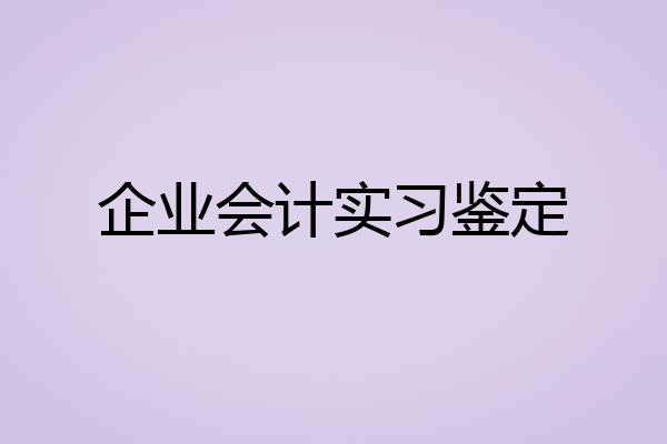企业会计实习鉴定