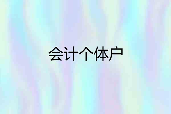 会计个体户