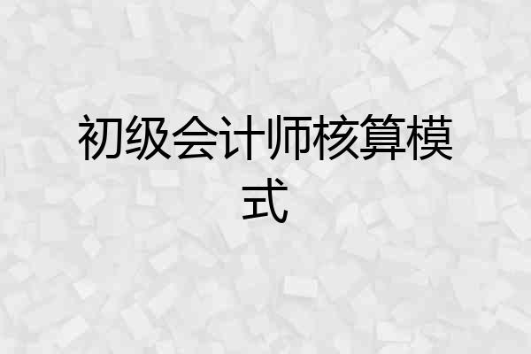 初级会计师核算模式