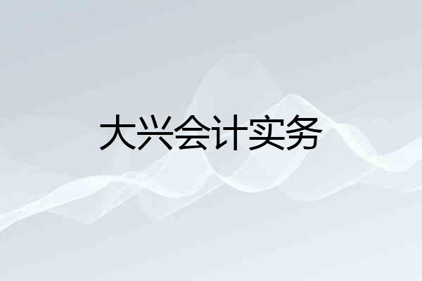 大兴会计实务