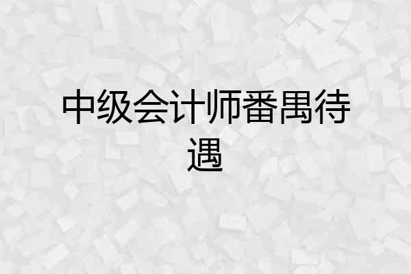中级会计师番禺待遇