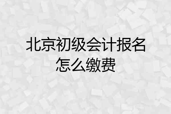 北京初级会计报名怎么缴费