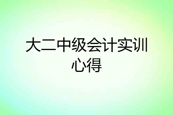 大二中级会计实训心得