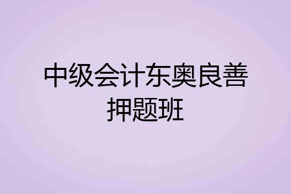 中级会计东奥良善押题班