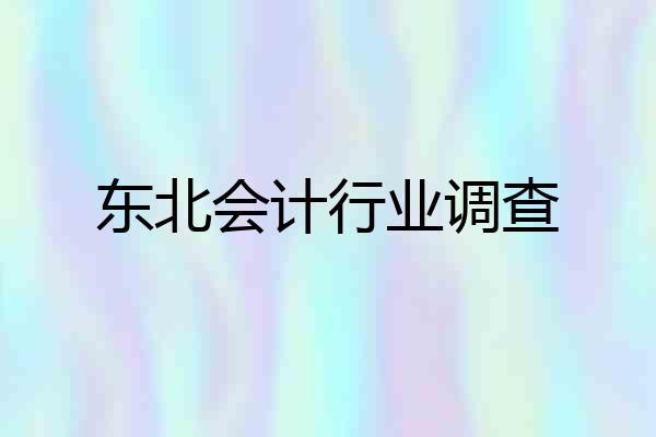 东北会计行业调查