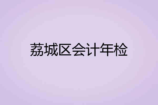 荔城区会计年检