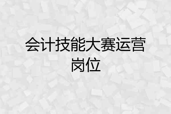 会计技能大赛运营岗位
