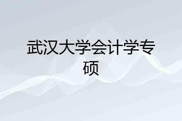 武汉大学会计学专硕