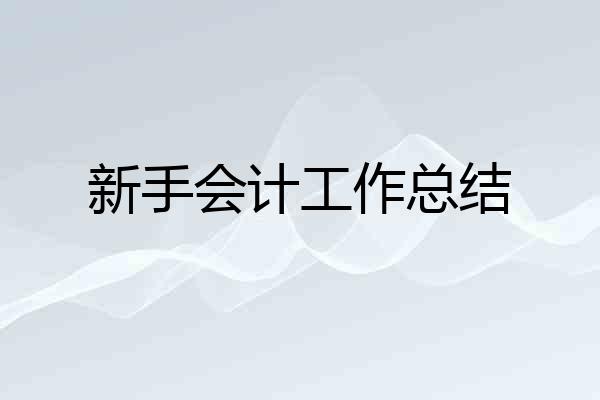 新手会计工作总结