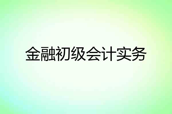 金融初级会计实务