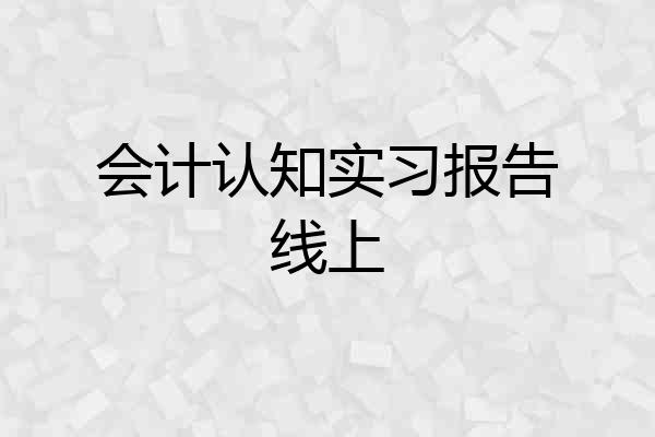 会计认知实习报告线上