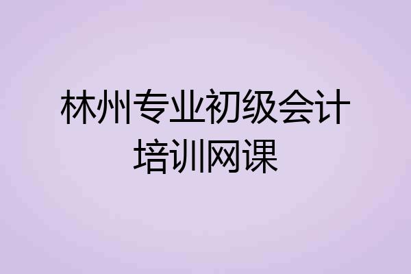林州专业初级会计培训网课