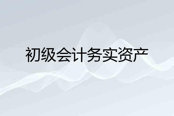 初级会计务实资产