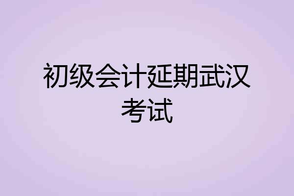 初级会计延期武汉考试