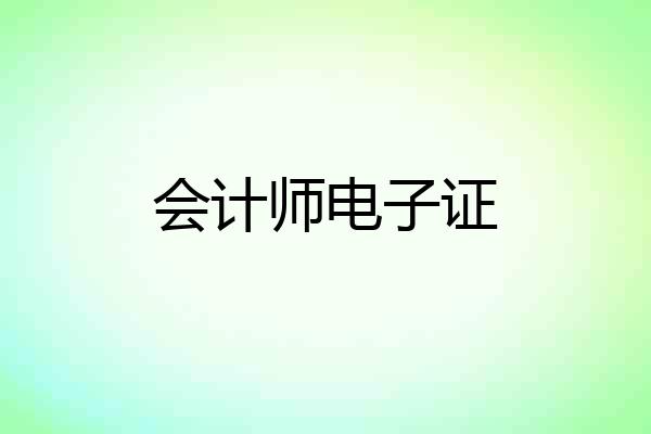 会计师电子证