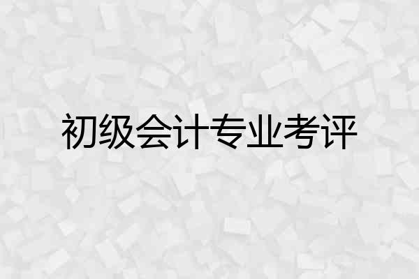 初级会计专业考评