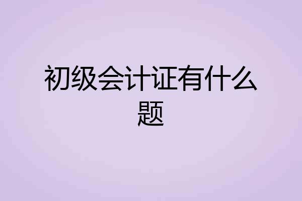 初级会计证有什么题