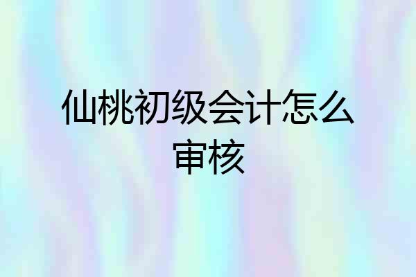 仙桃初级会计怎么审核