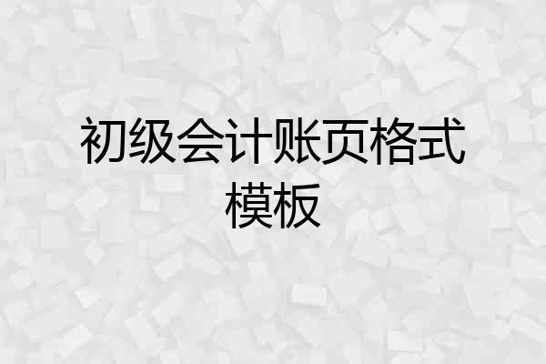 初级会计账页格式模板