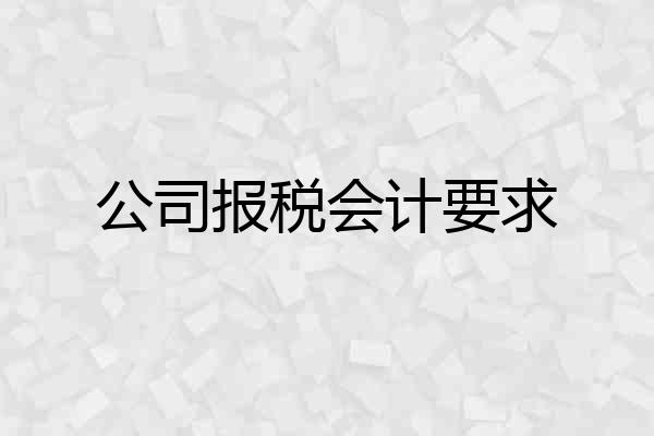 公司报税会计要求