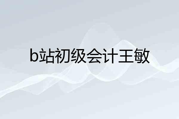 b站初级会计王敏